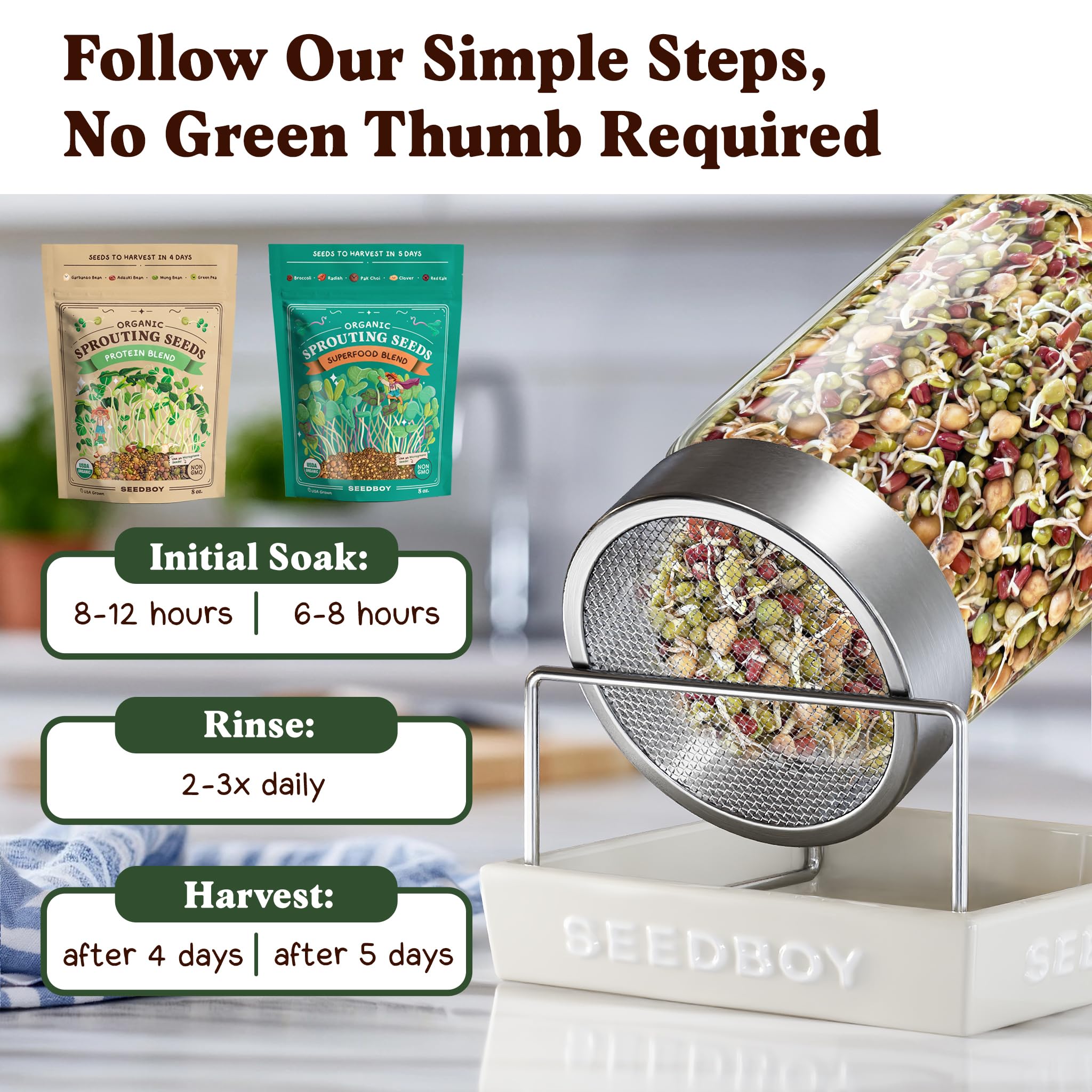 Daily rinse routine for Seedboy sprouts on a tray