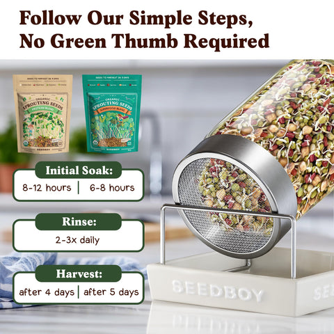 Daily rinse routine for Seedboy sprouts on a tray