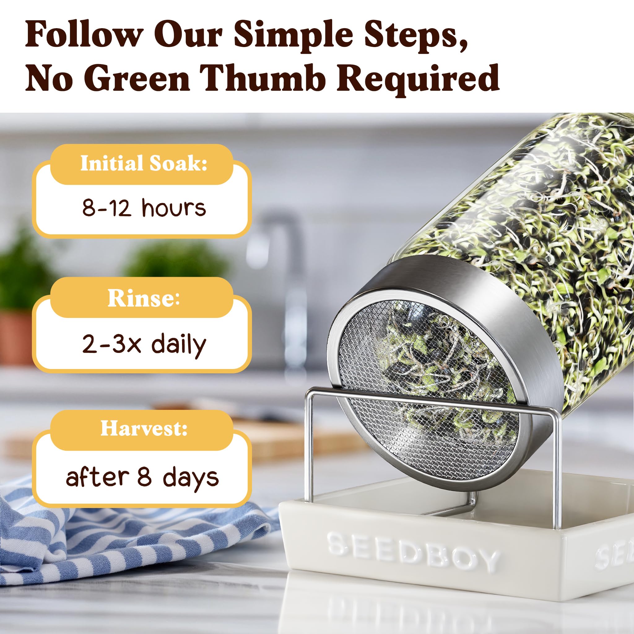 Seedboy flavor-infused sprouts when soaked in broth or teas.