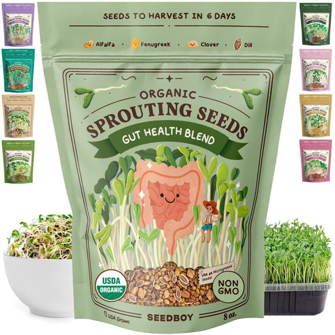 Seedboy Gut Health Blend bag shown, convenient organic sprouts starter for quick, healthy meals.