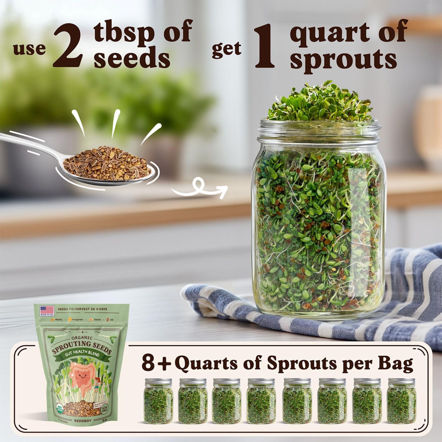 Seedboy Gut Health Blend microgreens in a tray highlight home-grown nutrition in tiny spaces.