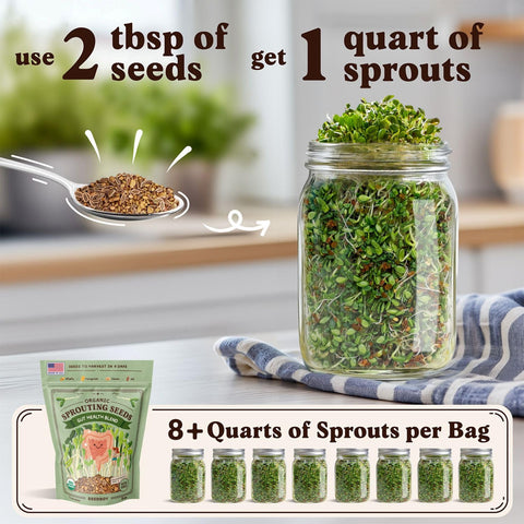 Seedboy Gut Health Blend microgreens in a tray highlight home-grown nutrition in tiny spaces.