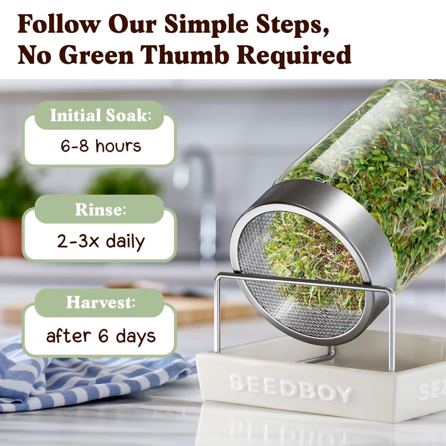 Seedboy Gut Health Blend ready-to-harvest sprouts bowl suggests quick meal ideas.