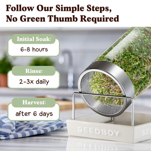 Seedboy Gut Health Blend ready-to-harvest sprouts bowl suggests quick meal ideas.