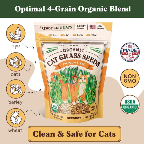 Seedboy indoor pet grass for cats, safe greens without houseplants.