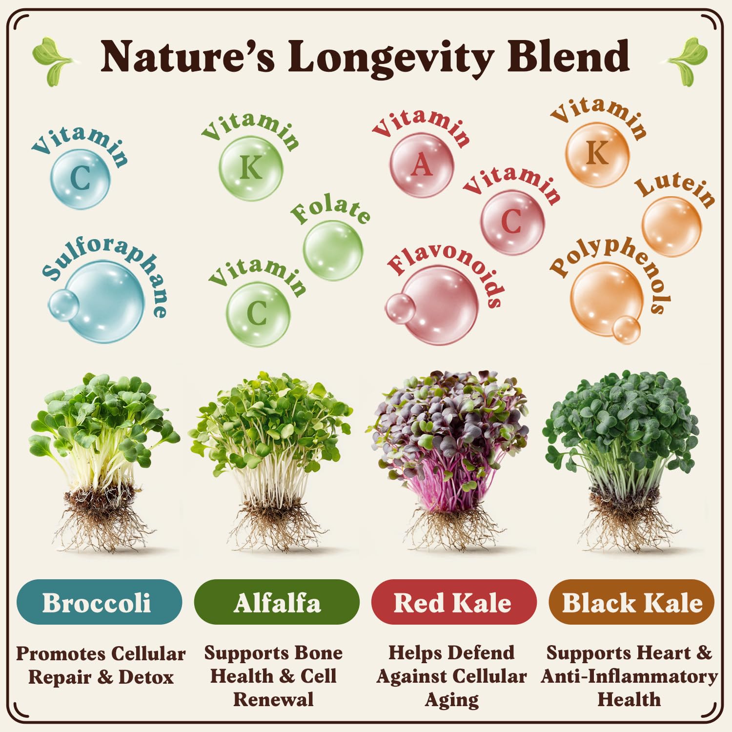 USA-grown organic seeds from Seedboy Longevity Blend ensure pure greens and tested quality.