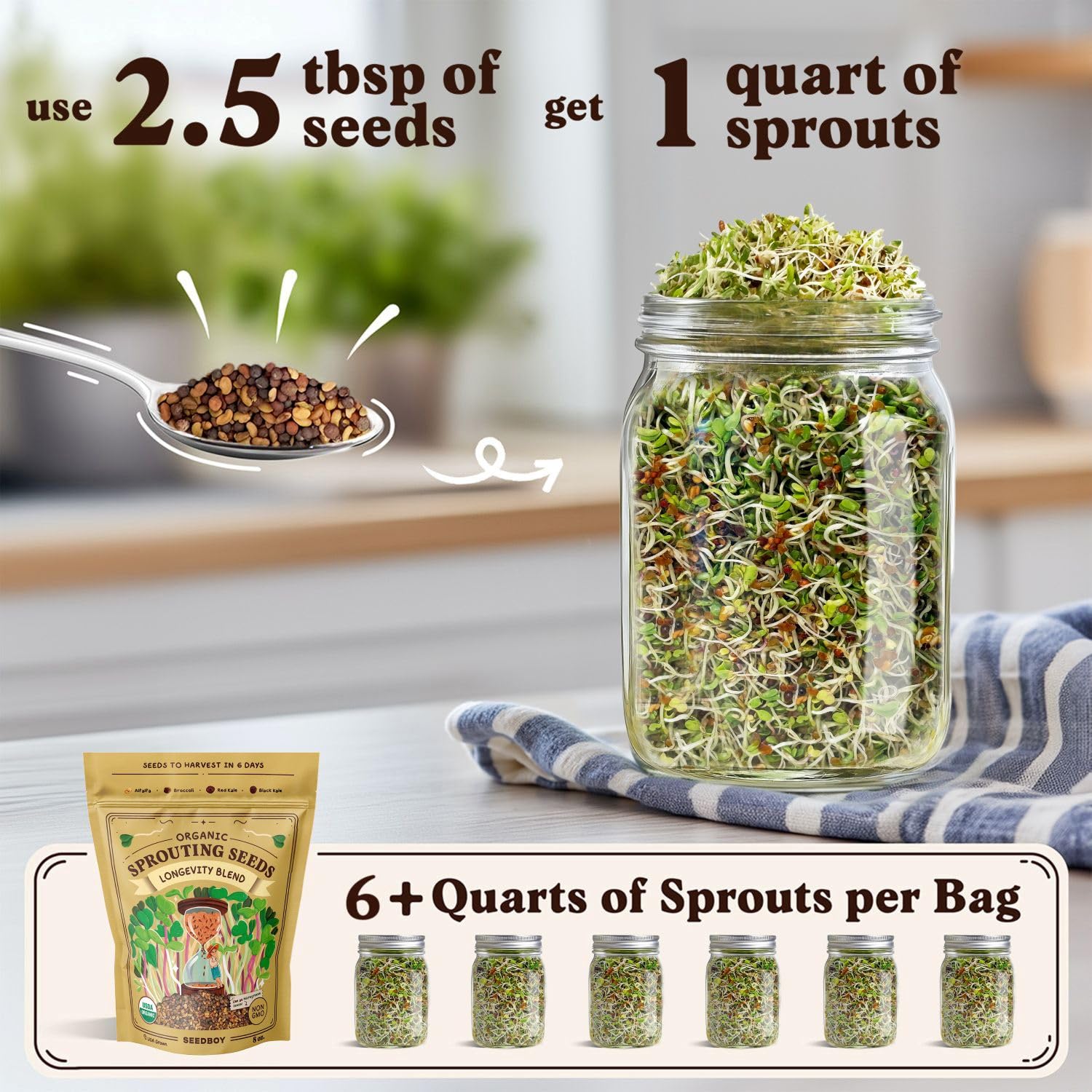 Seedboy Longevity Blend sprouts maturing in days, ideal for fast harvest in jars.
