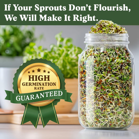 Seedboy Longevity Blend sprouting in a tray for vibrant microgreens with bold flavor.