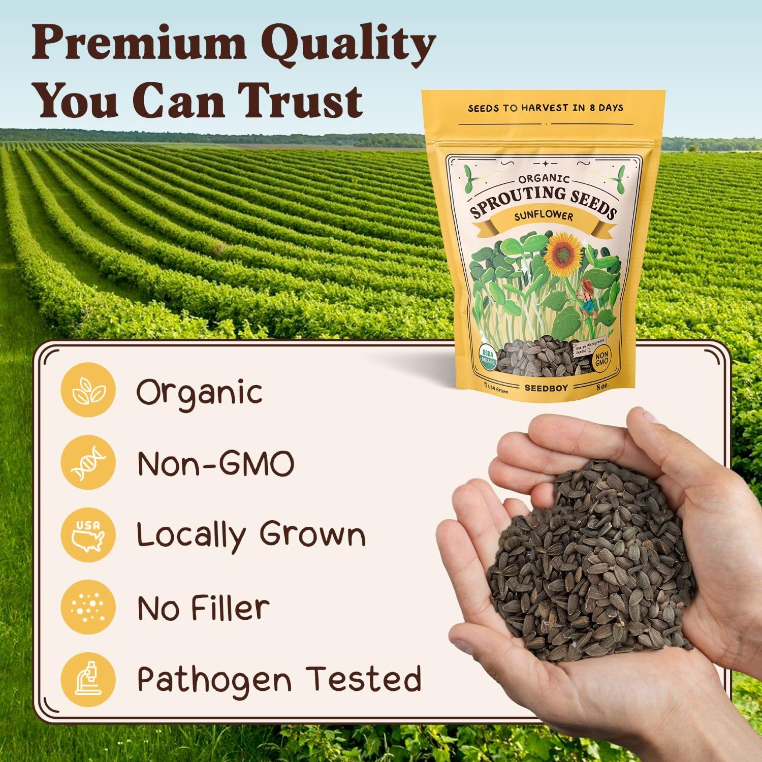 Seedboy Non-GMO seeds provide nutrient-rich sprouts with each harvest.