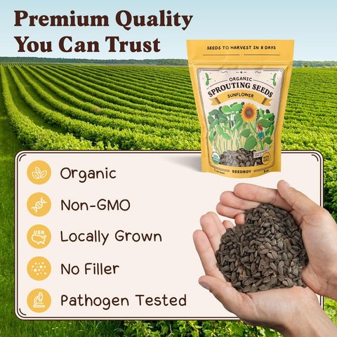 Seedboy Non-GMO seeds provide nutrient-rich sprouts with each harvest.