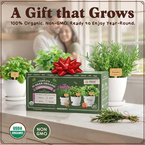 Seedboy gift-ready herb kit perfect for gardeners and plant lovers