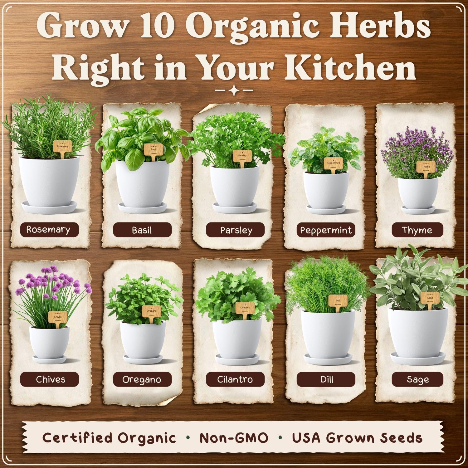 Seedboy Grow Guide included for confident indoor herb care