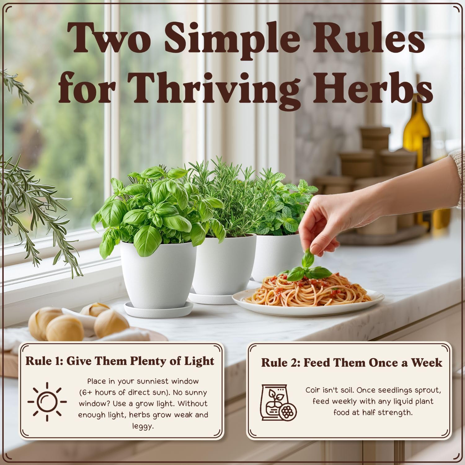 Seedboy Organic 10-Herb Kit suitable for indoor and outdoor use