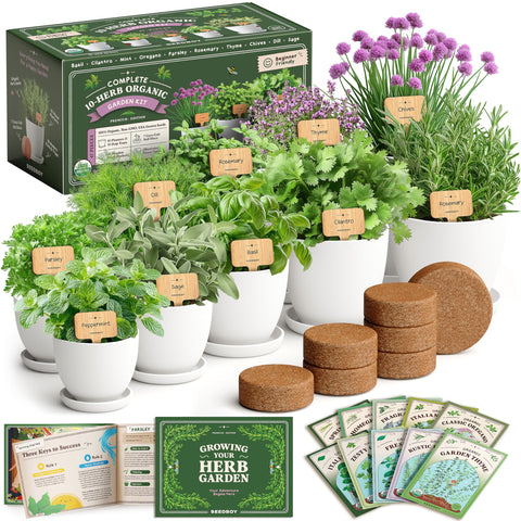 Seedboy Organic 10-Herb Kit with pots and trays for easy indoor gardening