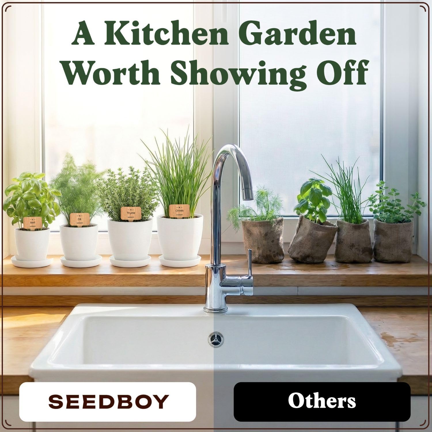 Seedboy kit showing ready-to-harvest herbs for window-sill gardening