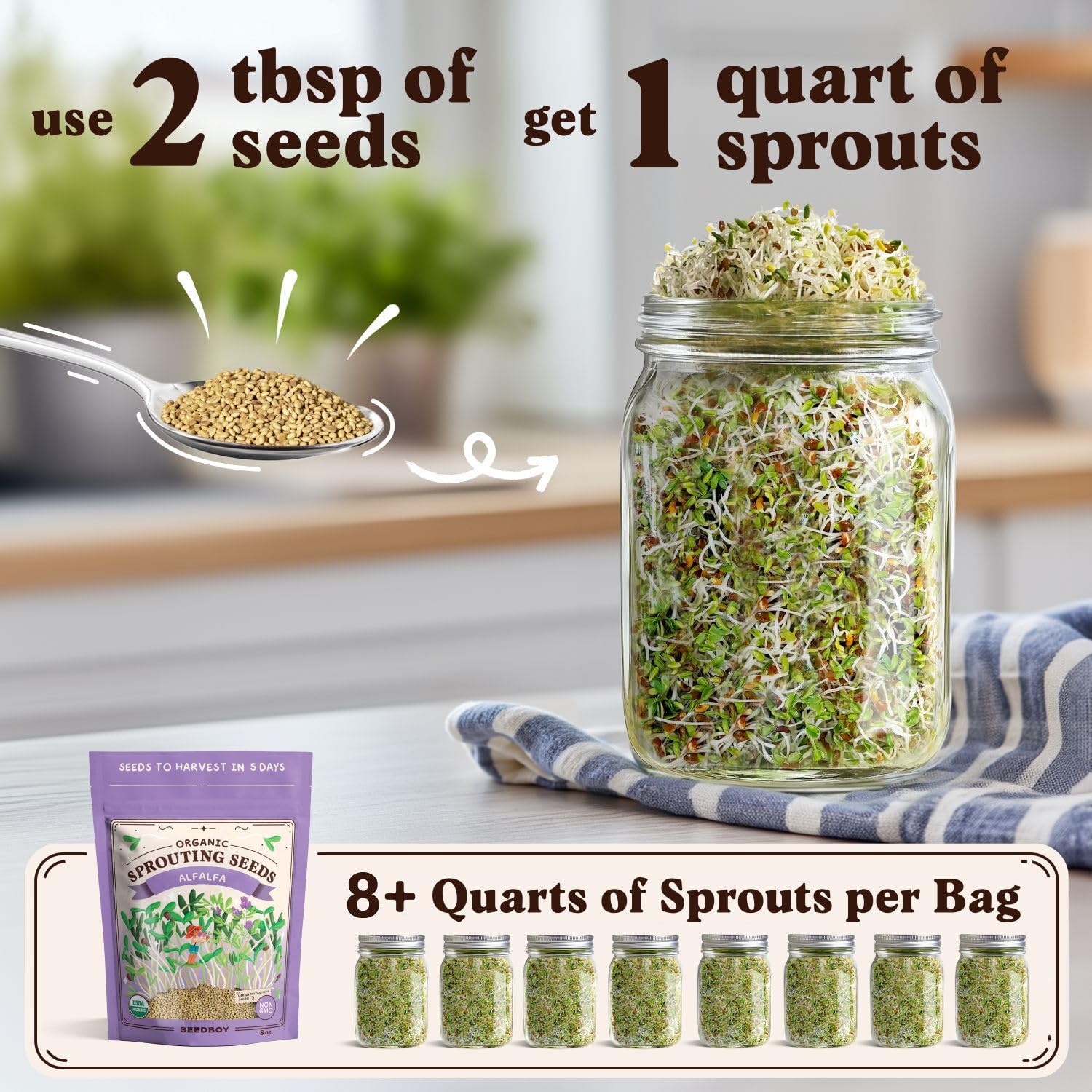 Seedboy Organic Alfalfa Seeds bag showing non-GMO, OTCO-certified quality.