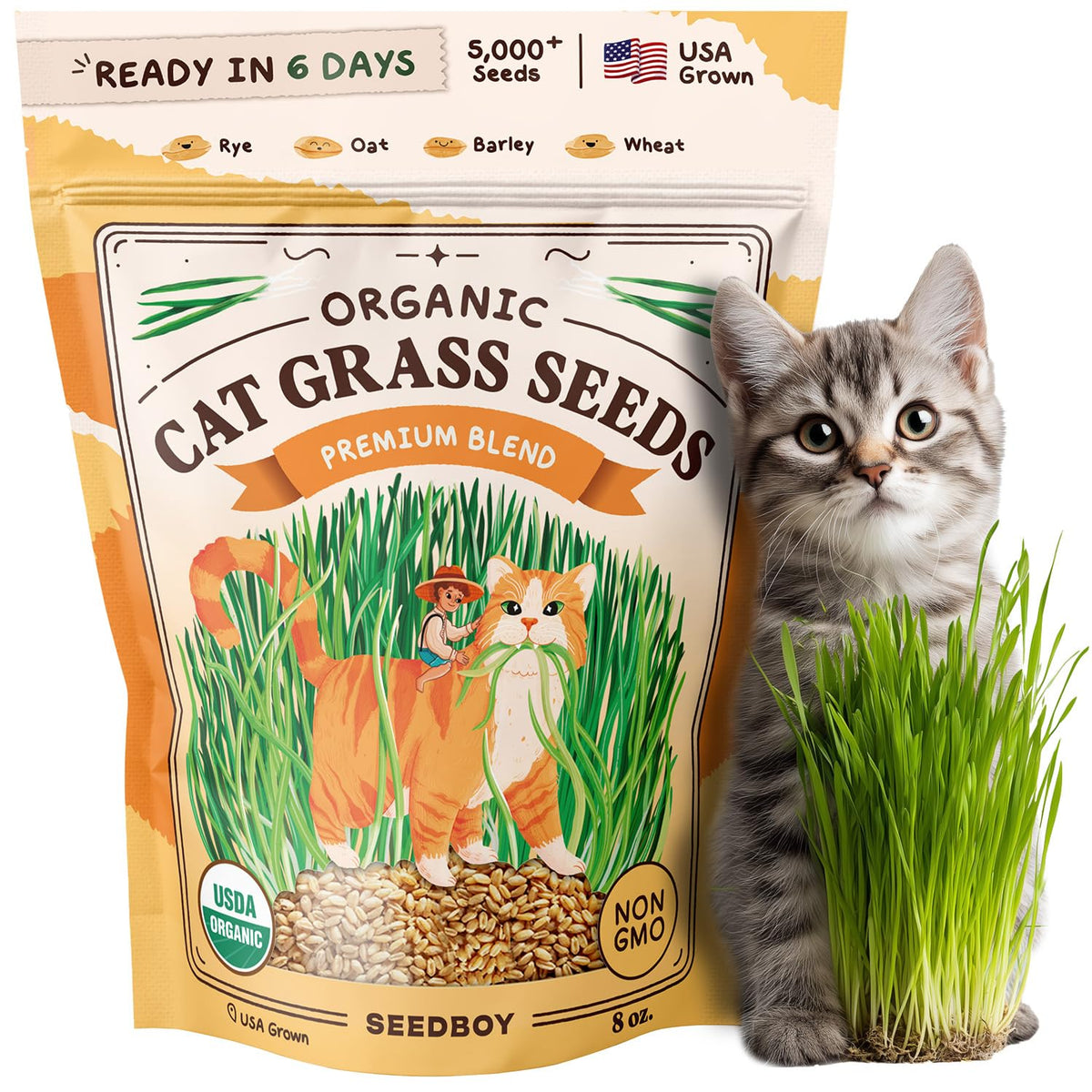 Seedboy organic cat grass seeds 8oz for indoor cats, fresh greens.