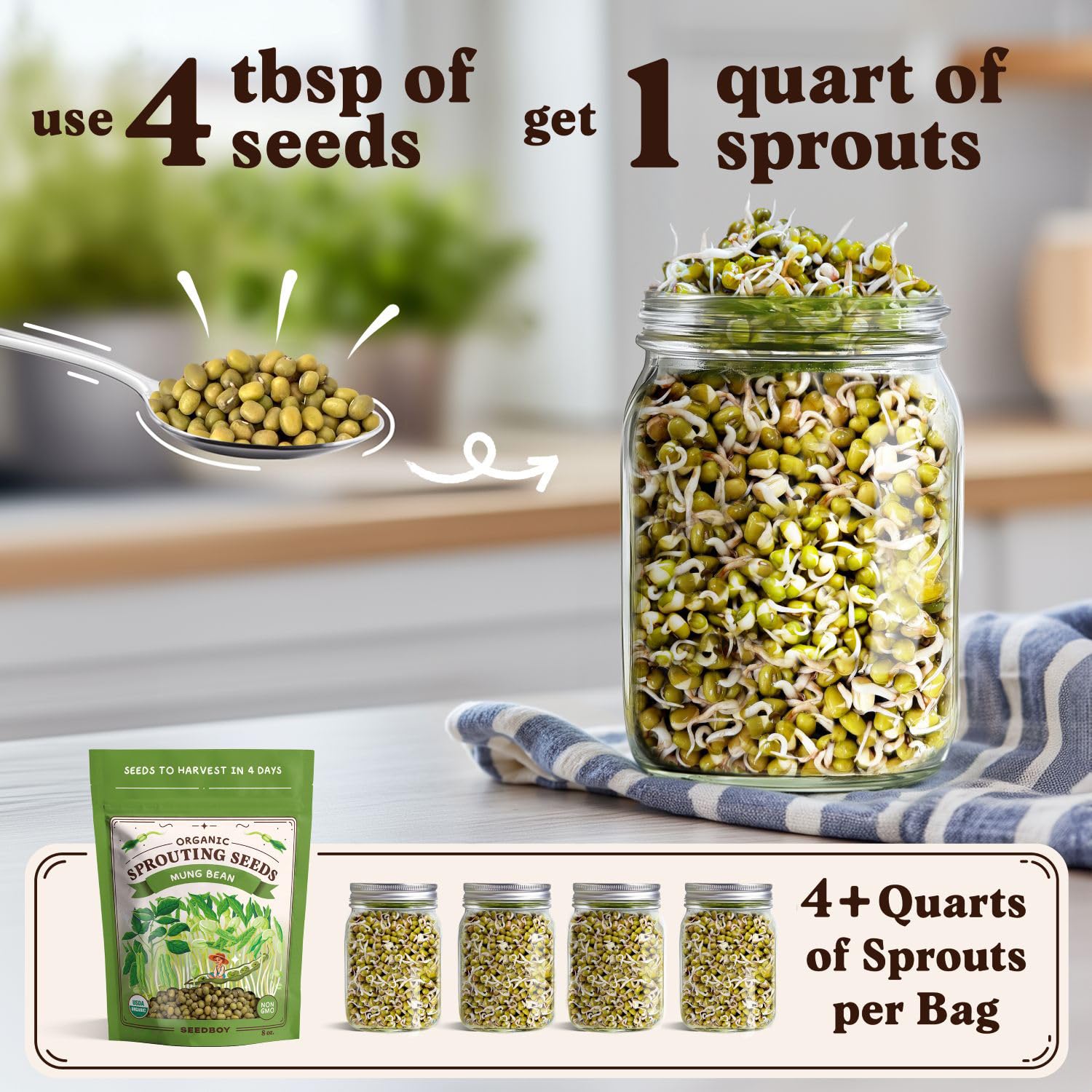 Seedboy organic mung bean seeds bag brand packaging
