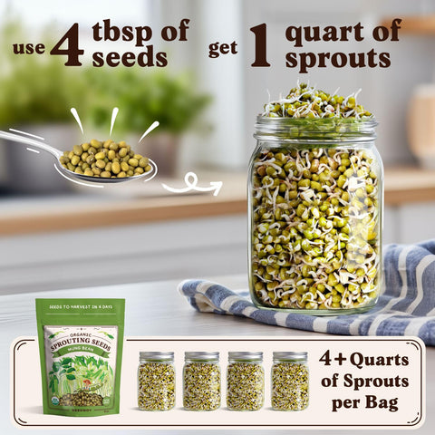 Seedboy organic mung bean seeds bag brand packaging