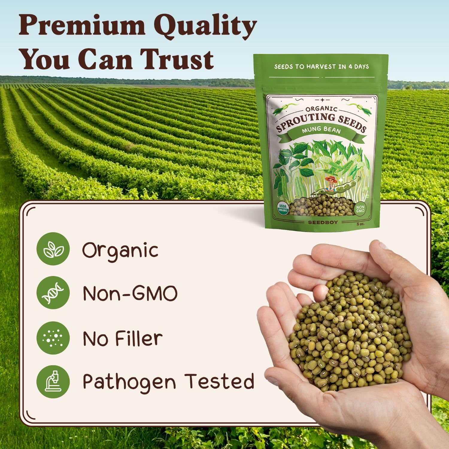 Seedboy organic seed packaging closeup showing certification