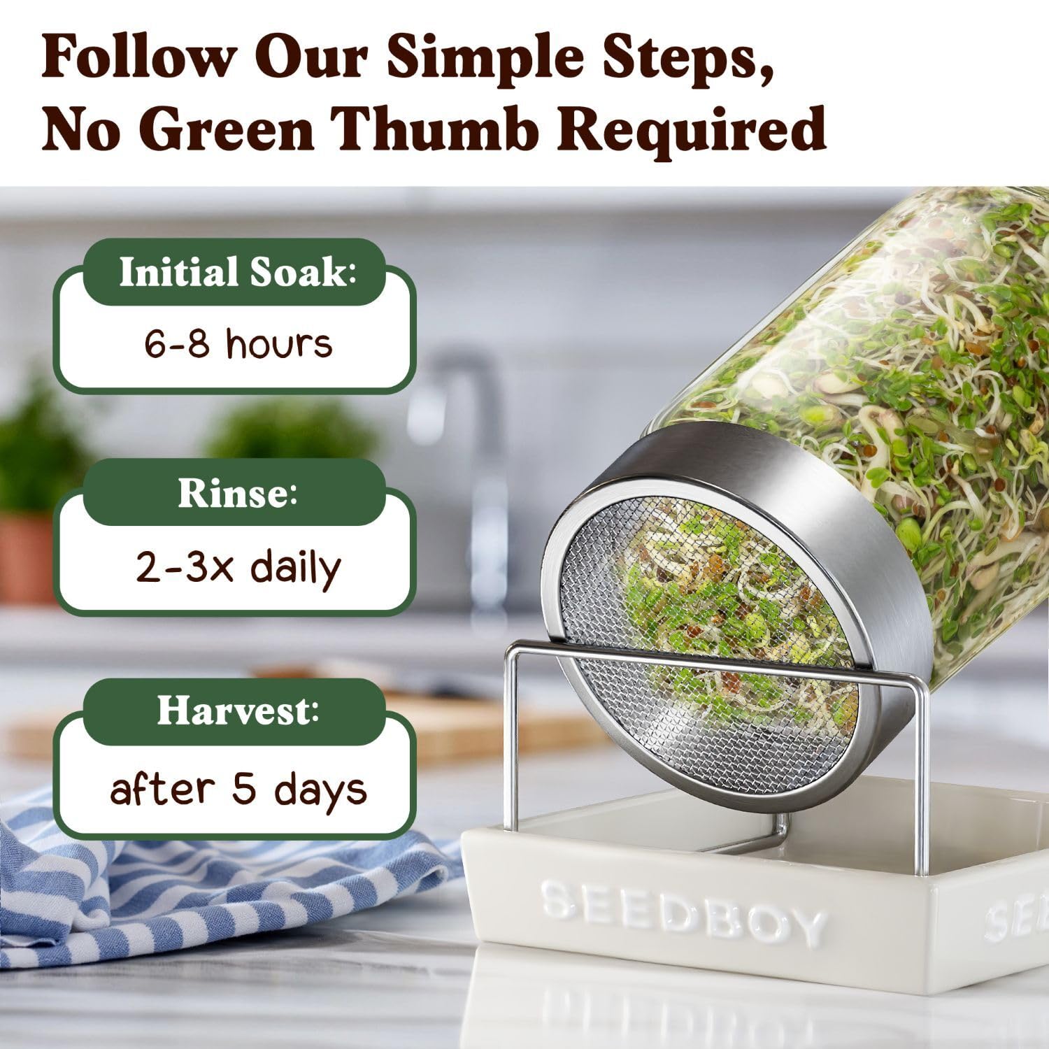 Seedboy organic seeds bag shows USA-grown quality