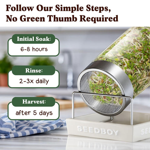 Seedboy organic seeds bag shows USA-grown quality