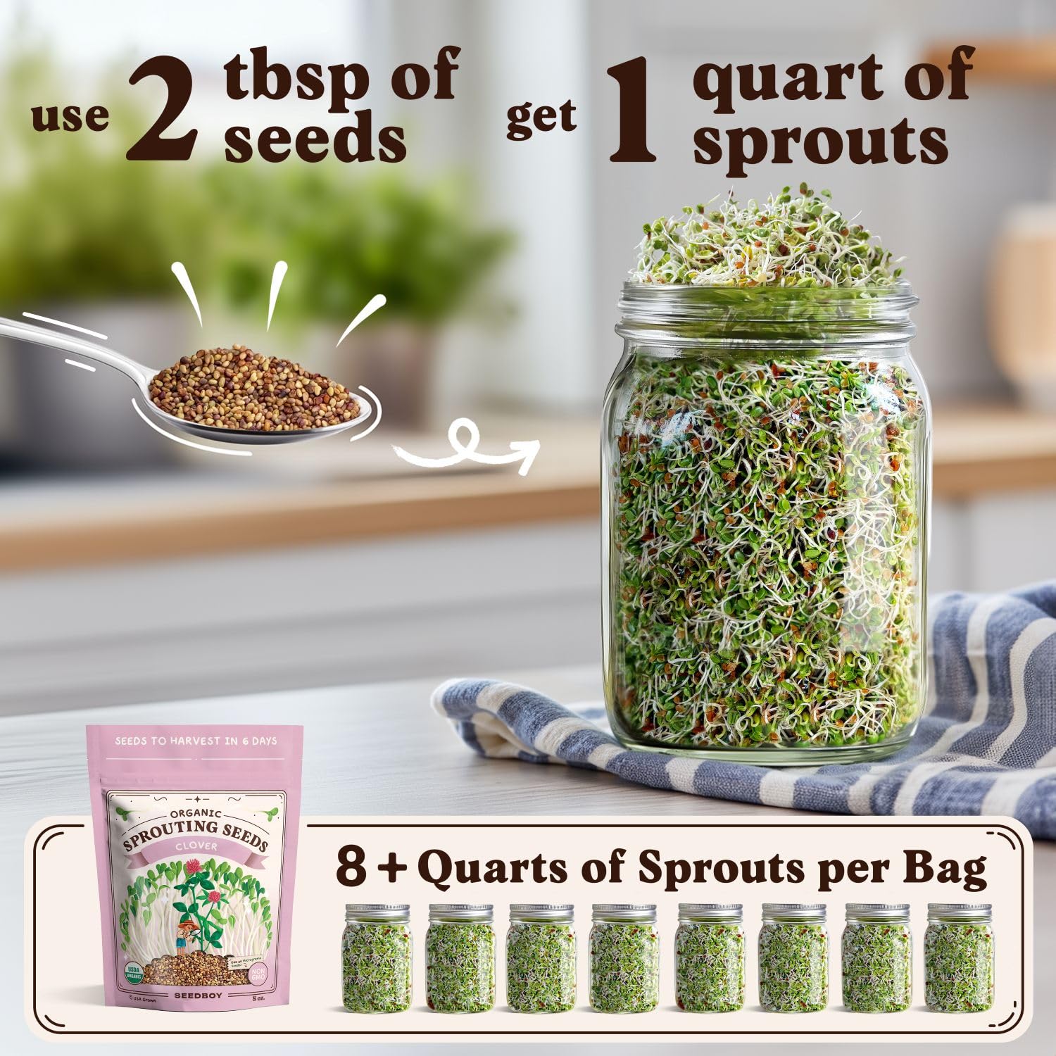 Seedboy organic USDA-clover seeds shown as USA-grown, pure sprouts