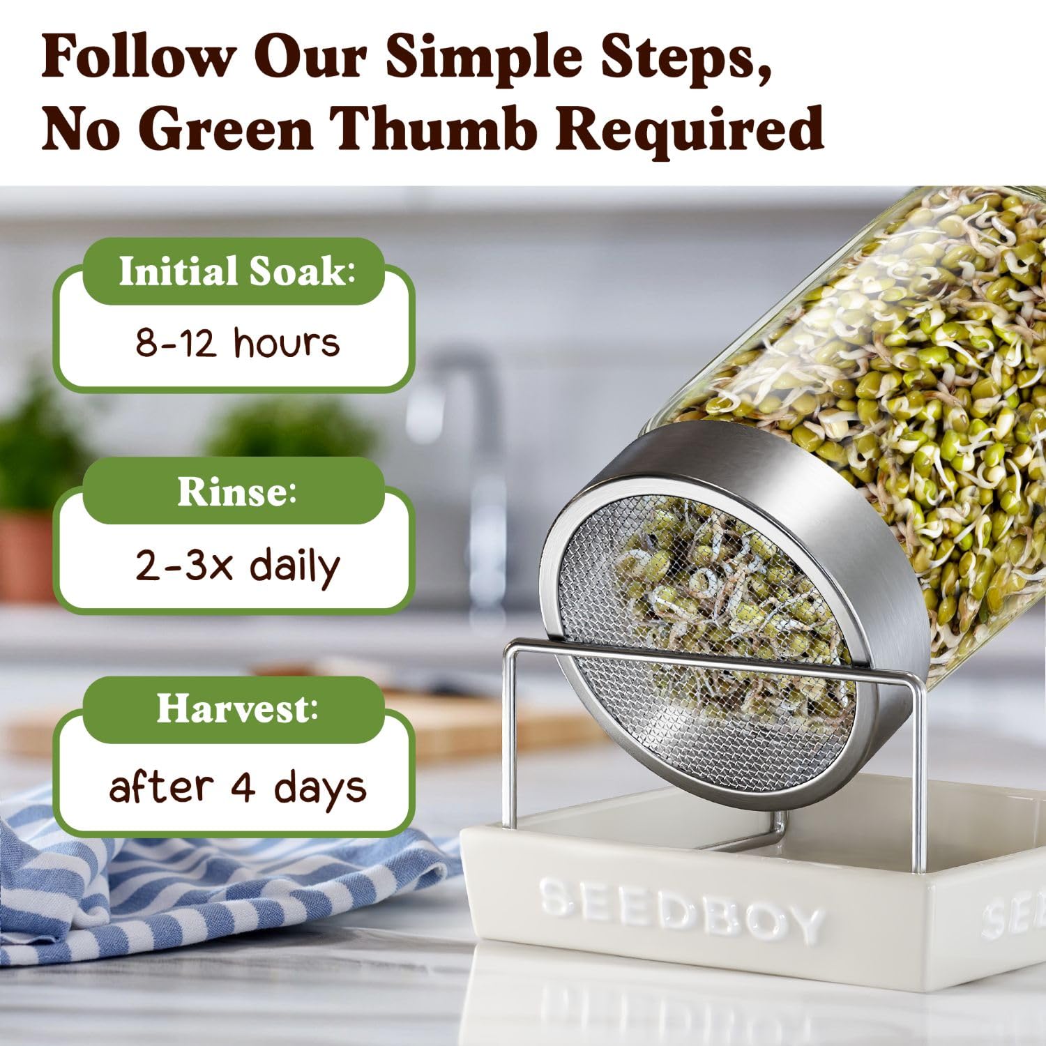 Seedboy pho-inspired sprouts ready to flavor noodle bowls
