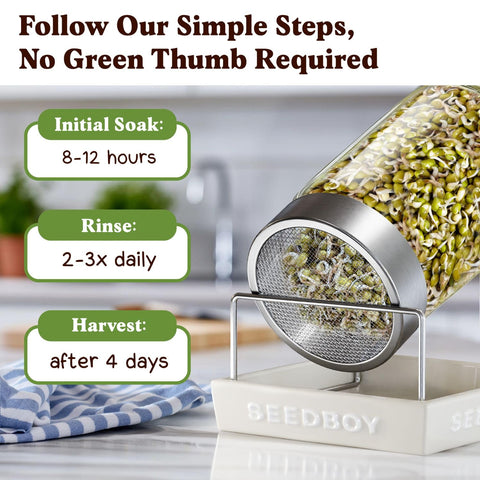 Seedboy pho-inspired sprouts ready to flavor noodle bowls