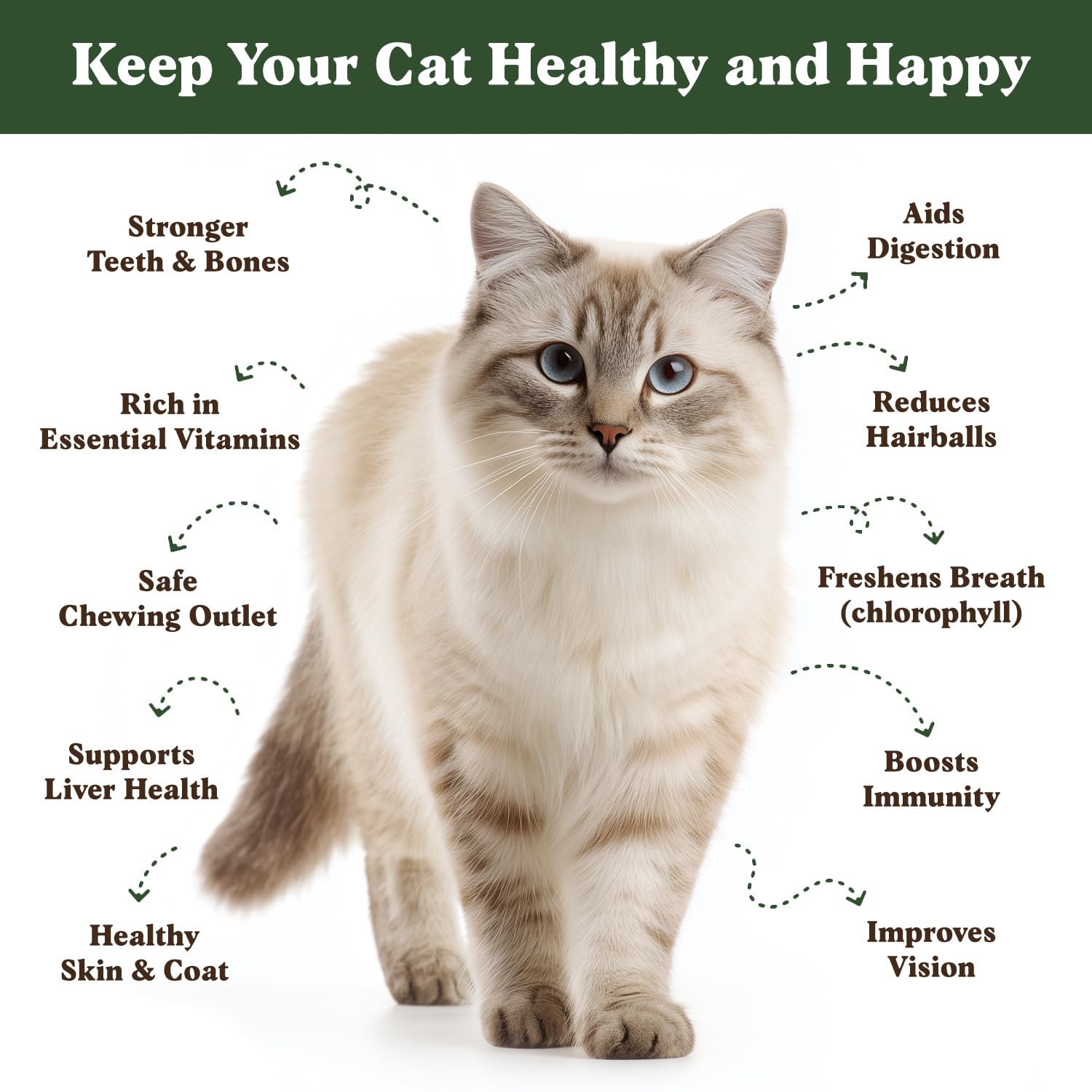 Seedboy premium non-GMO cat grass blend promotes digestion and nibble-friendly greens.