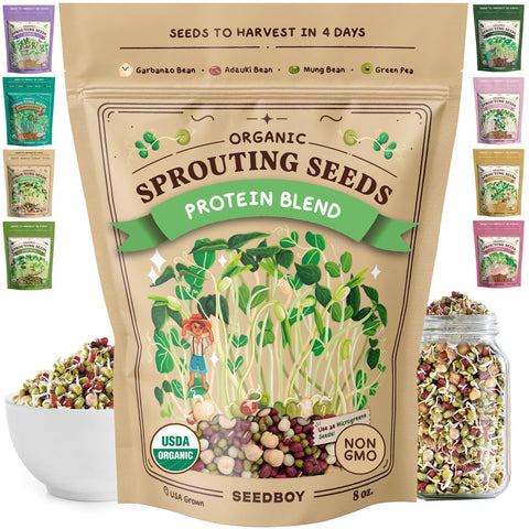 Seedboy Protein Blend sprouts in a jar, ready to add crunch to meals.