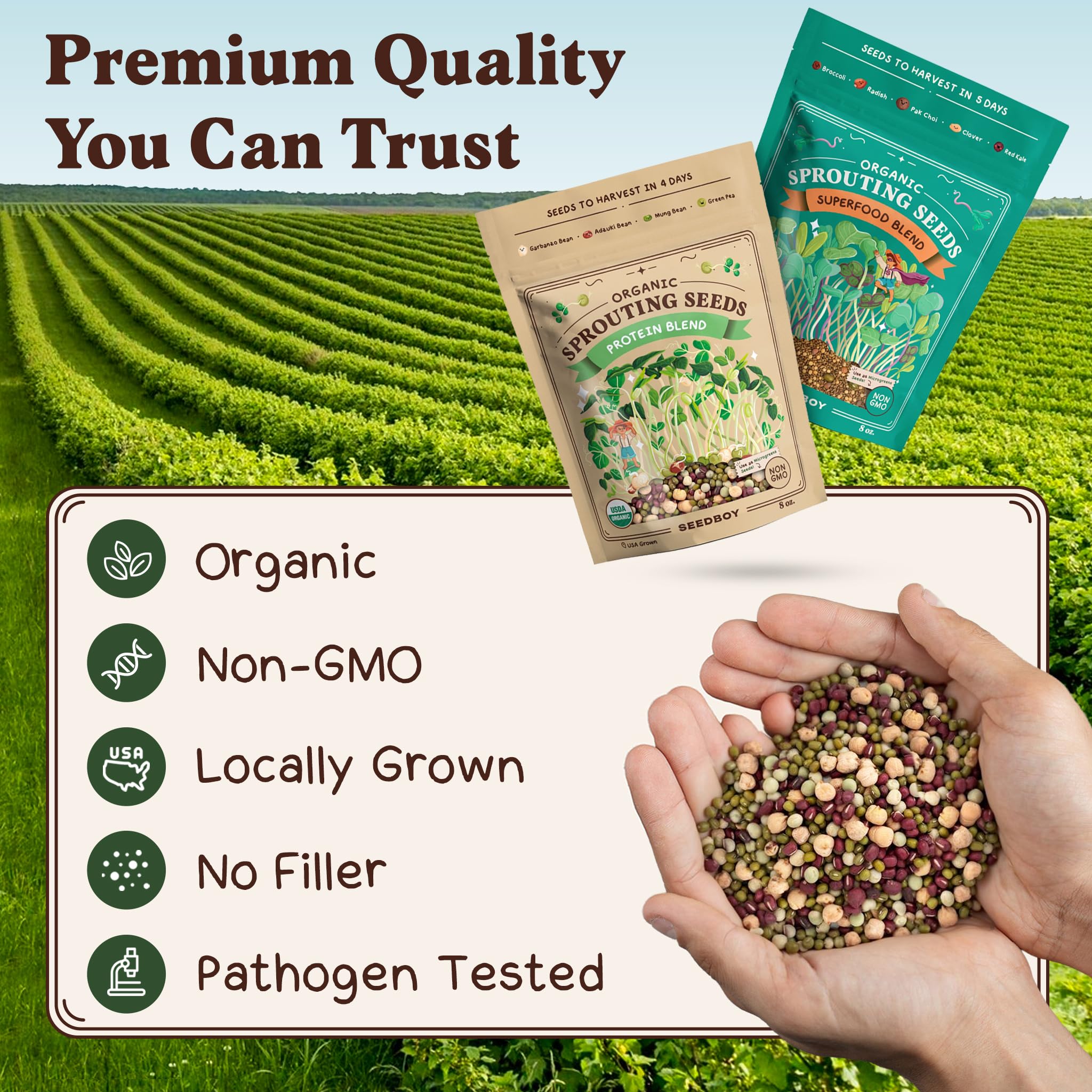 Seedboy sprouts added to salads and sandwiches for quick nutrition
