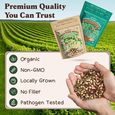 Seedboy sprouts added to salads and sandwiches for quick nutrition