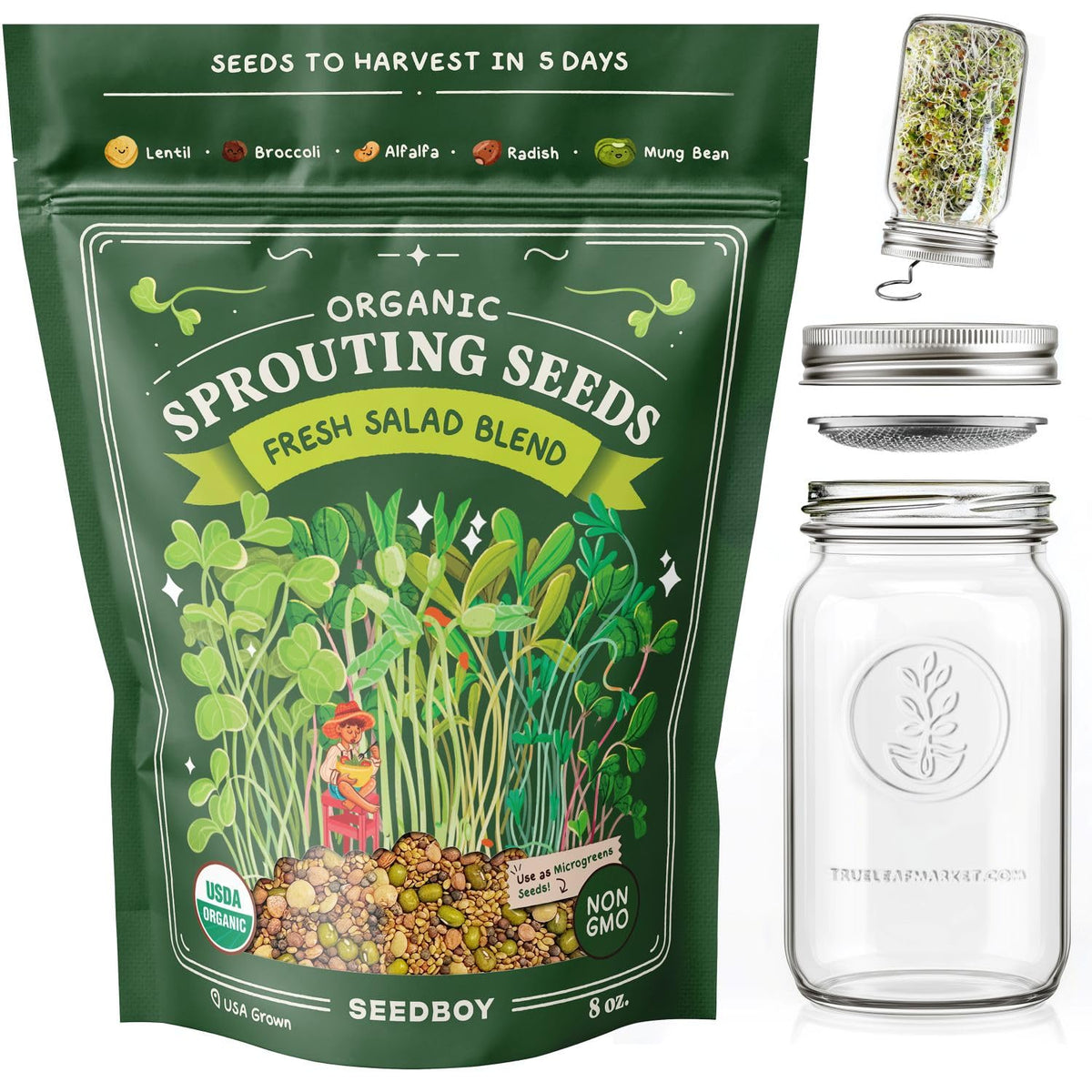 Seedboy Salad Blend kit front view for easy at-home sprouting and fresh greens.