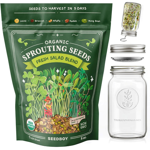 Seedboy Salad Blend kit front view for easy at-home sprouting and fresh greens.