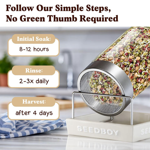 Seedboy soaking steps guide beginners toward fresh sprouts in minutes.