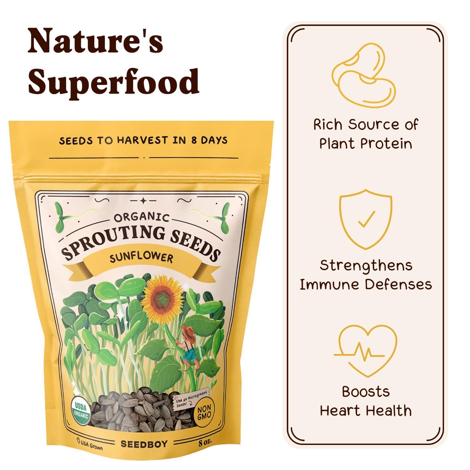 Seedboy Sprouting seeds in a tray yield bold-flavored microgreens quickly.
