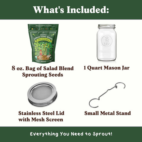Seedboy sprouting jar with lid and stand ready for compact kitchen sprouting.
