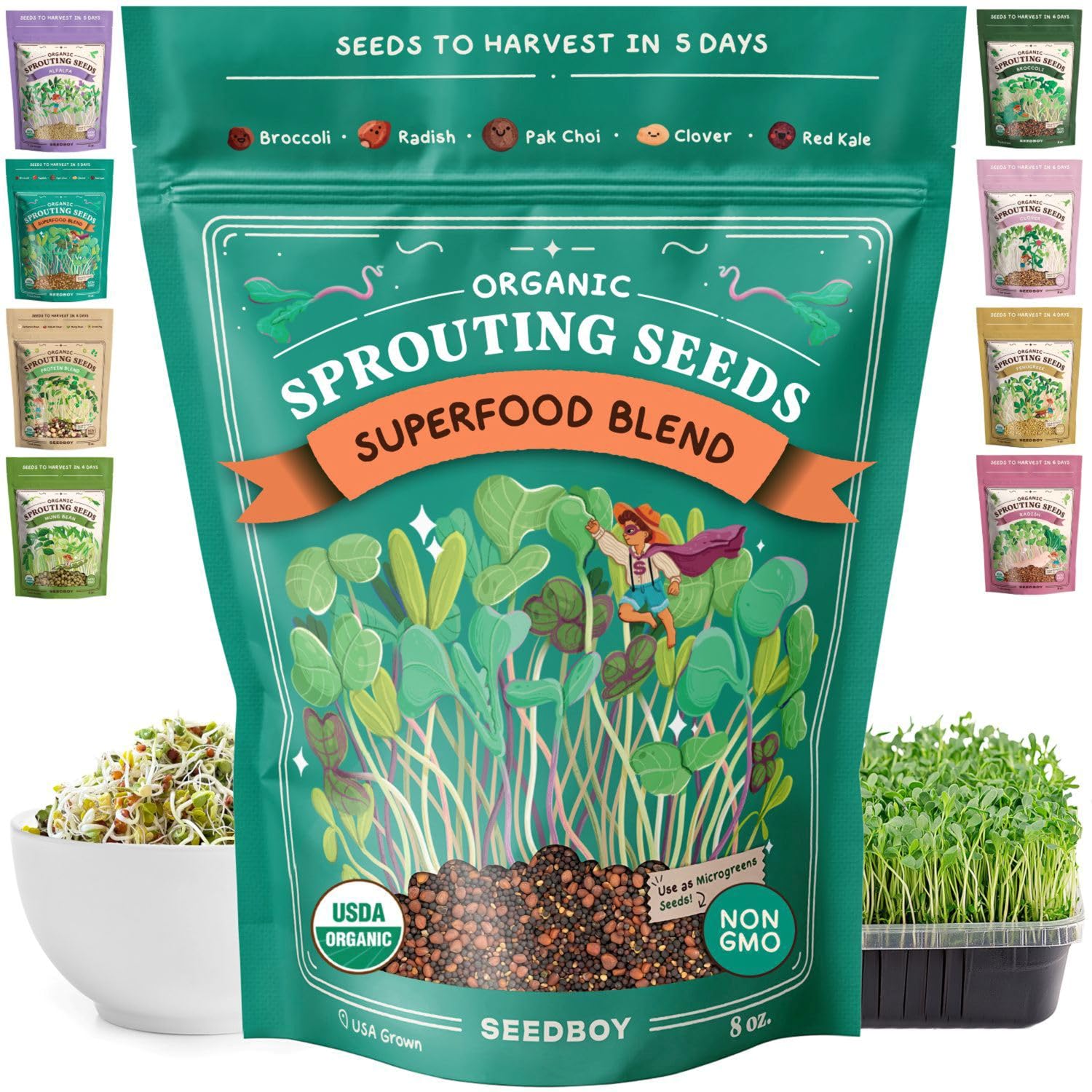 Seedboy organic sprouting seeds in a jar for quick greens.