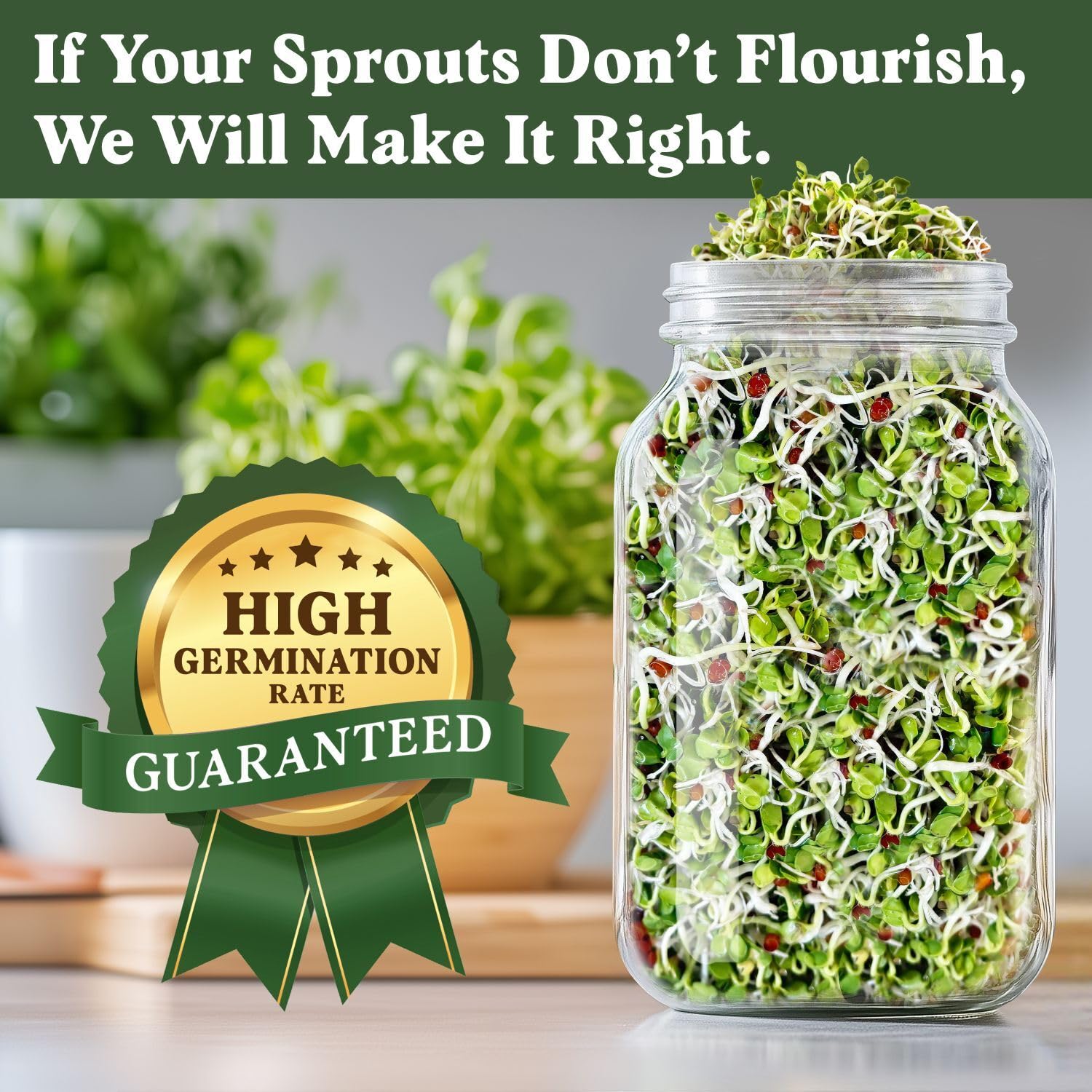USA-grown Seedboy organic radish seeds packaged for reliable sprouting.