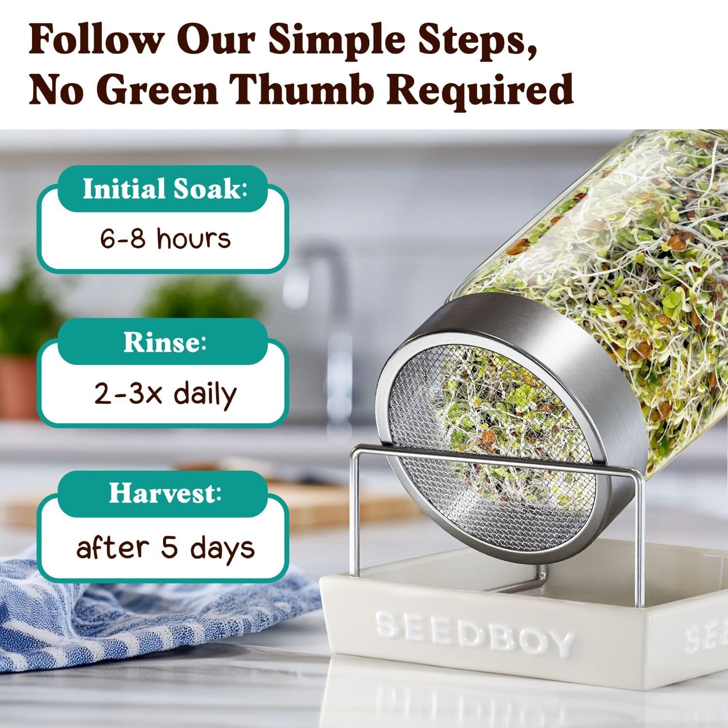 Seedboy USA-grown organic seeds packaging ensures consistent quality.
