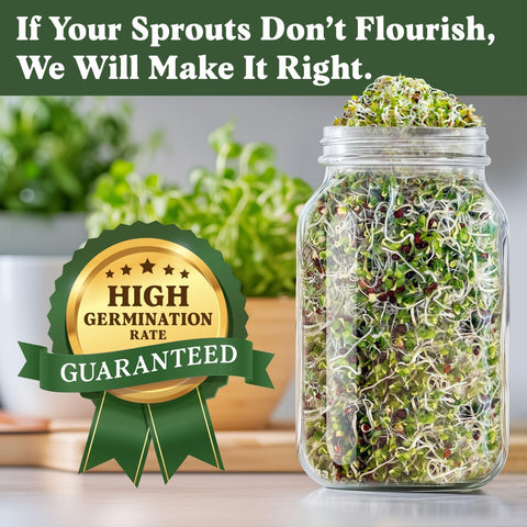 Seedboy USA-grown organic seeds packaging highlighting quality.