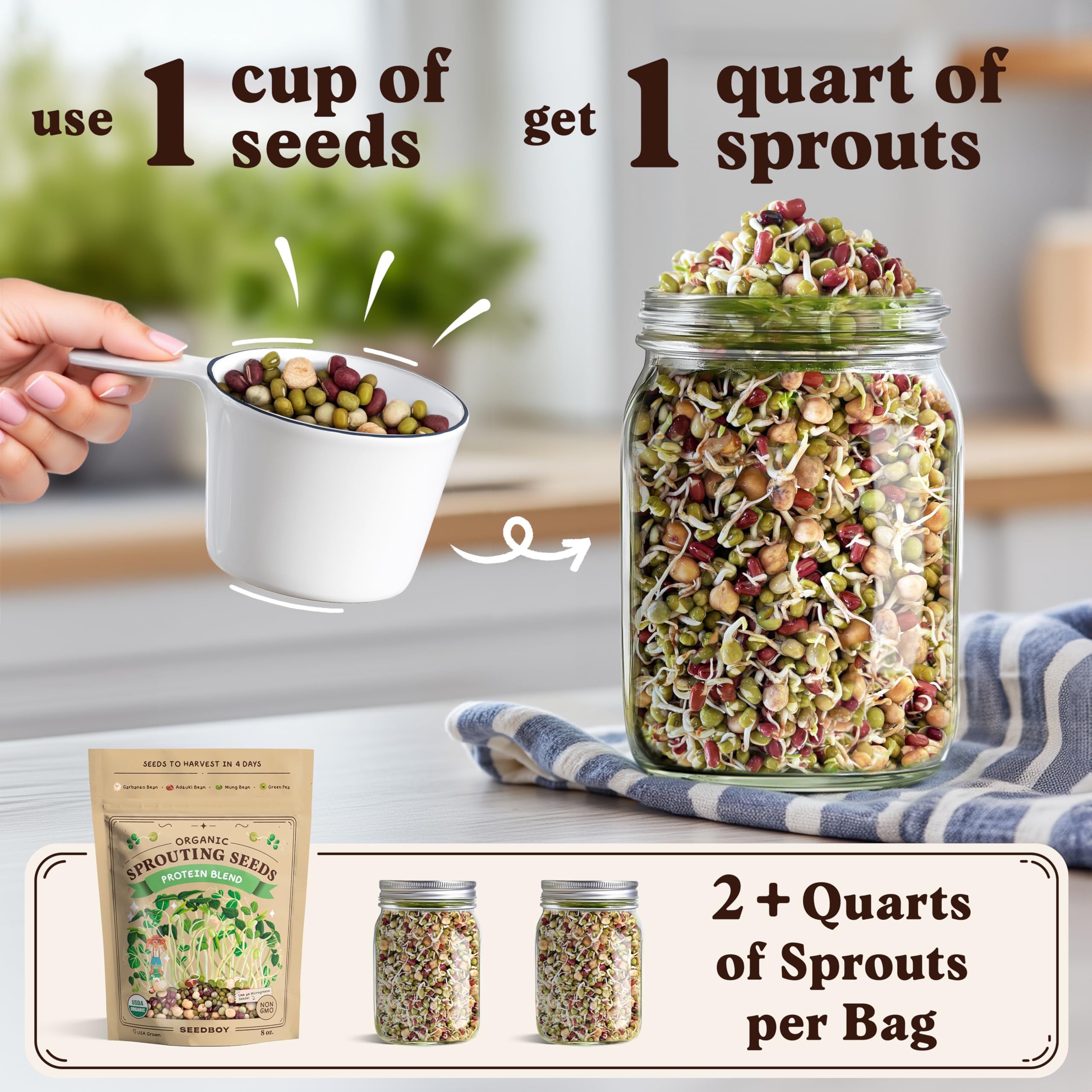 USA grown organic Seedboy seeds for clean sprouts and microgreens