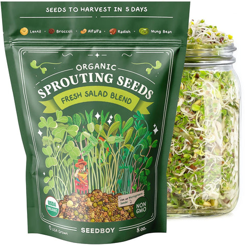 Seedboy USA-grown organic seeds pack ideal for beginners.
