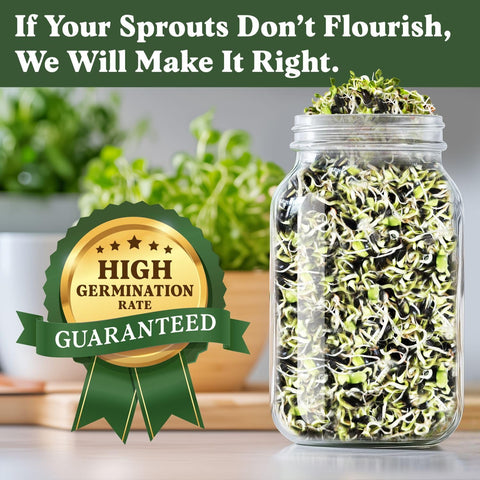 Seedboy USA-grown seeds offering high germination for home sprouting projects.