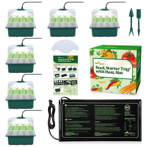 Seedfactor seed starter kit base with tray ready for germination