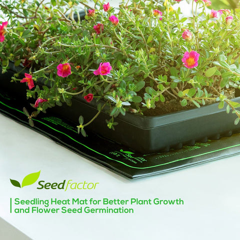 Seedfactor seedling heat mat small 10x20 maintains warm germination environment