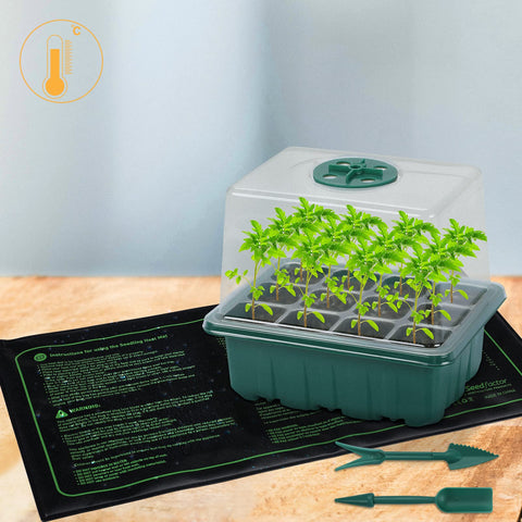 Seedfactor transparent tray enables easy observation during growth