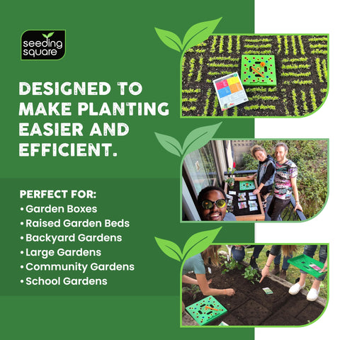 Seeding Square garden bed use shows efficient spacing and weed control.