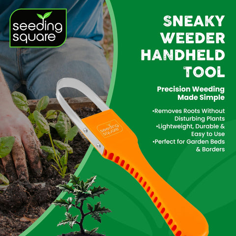 Seeding Square Sneaky Weeder root-targeting tines ensure precise removal.